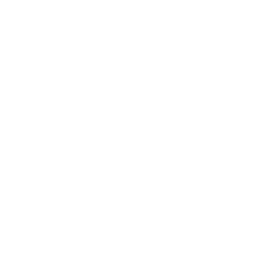 White medal emblem with star design